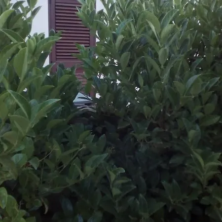 לינה וארוחת בוקר Terra Serena 4*