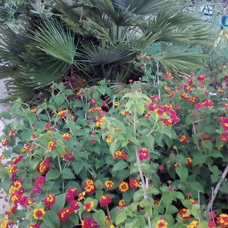 Bed & Breakfast Terra Serena 4*