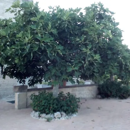 Bed & Breakfast Terra Serena Santa Cesarea Terme