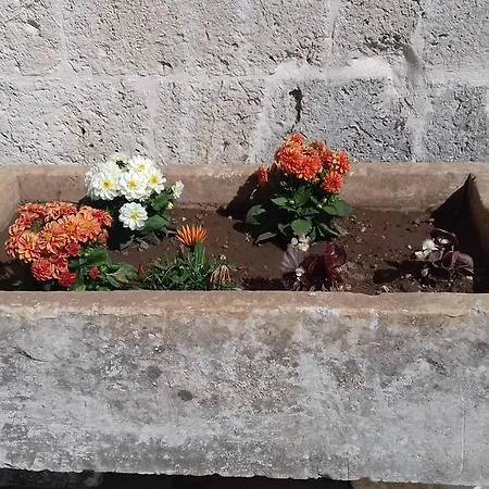 Terra Serena Отель типа 