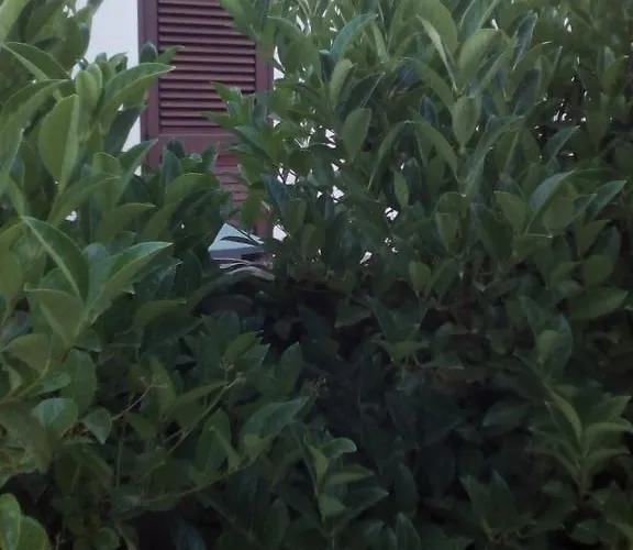 Bed & Breakfast Terra Serena 4*