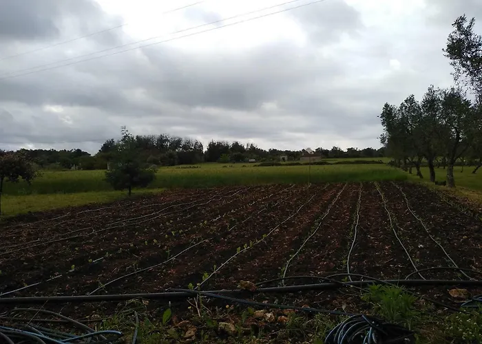 Oda ve Kahvaltı Terra Serena 4*